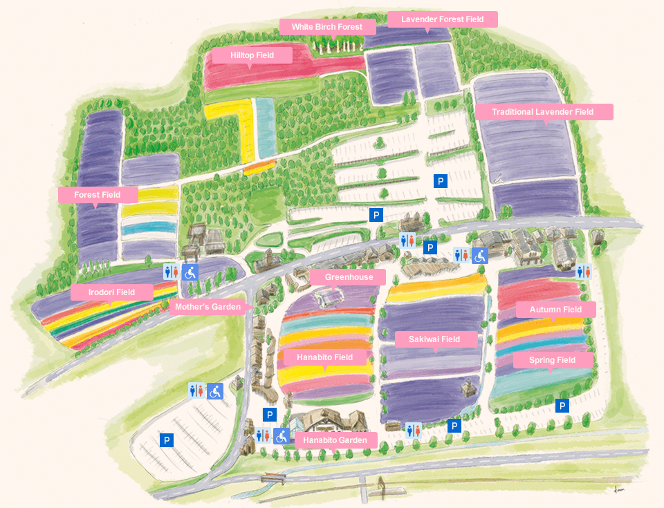 Hanabito Field | Sakiwai Field | Irodori Field | Traditional Lavender Garden | Spring Field | Autumn Field | Forest Field | Hanabito Garden | Greenhouse | Mother's Garden | Hilltop Field | White Birch Forest | Lavender Forest Field