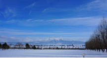 白い雪と青い空