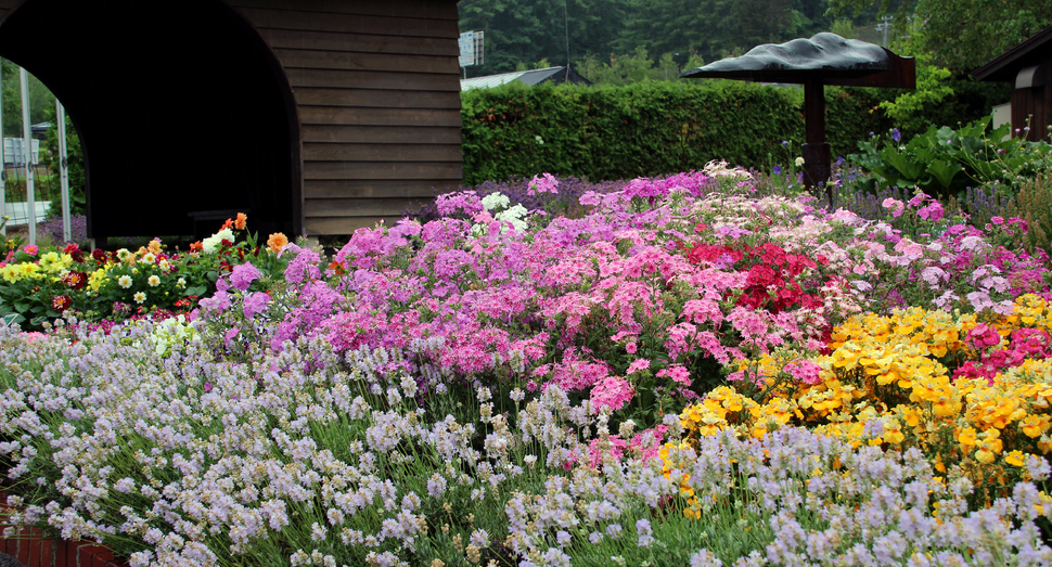 何種類もの花が咲き誇る花人ガーデン