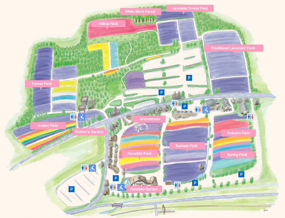 Hanabito Field | Sakiwai Field | Irodori Field | Traditional Lavender Garden | Spring Field | Autumn Field | Forest Field | Hanabito Garden | Greenhouse | Mother's Garden | Hilltop Field | White Birch Forest | Lavender Forest Field
