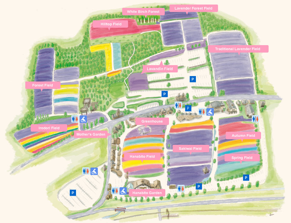 Hanabito Field | Sakiwai Field | Irodori Field | Traditional Lavender Garden | Spring Field | Autumn Field | Forest Field | Hanabito Garden | Greenhouse | Mother's Garden | Hilltop Field | White Birch Forest | Lavender Forest Field | Lavandin Field