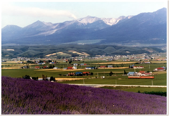 This wonderful scenery is chosen for inclusion in the calendar, and it brings luck to the farm.