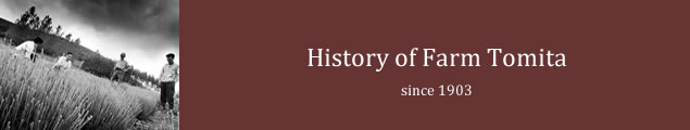 History of Farm Tomita since 1903