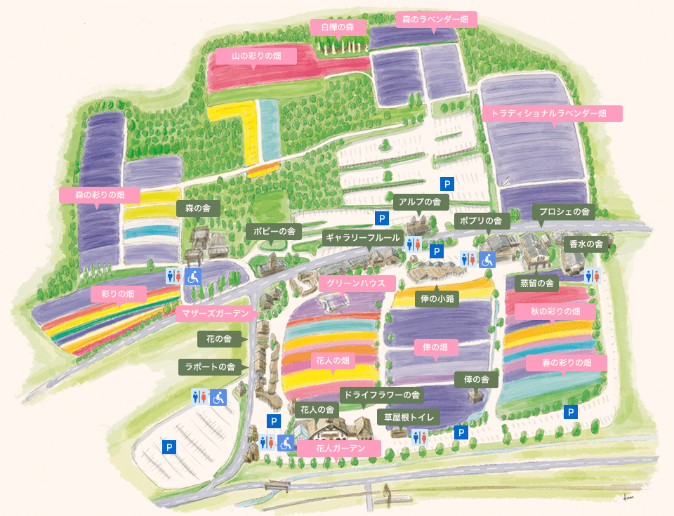 ファーム富田の園内マップ