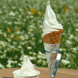 Vanilla soft-serve ice cream