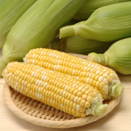 Hokkaido Sweetcorn