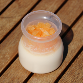 Melon Milk Custard