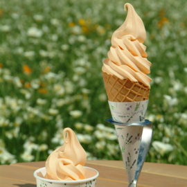 Cantaloupe soft-serve ice cream