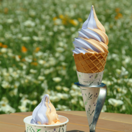 Lavender & cantaloupe soft-serve ice cream