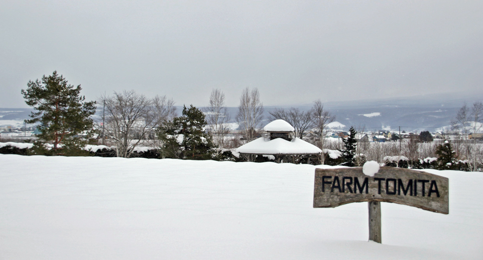 雪景色が美しい倖の畑
