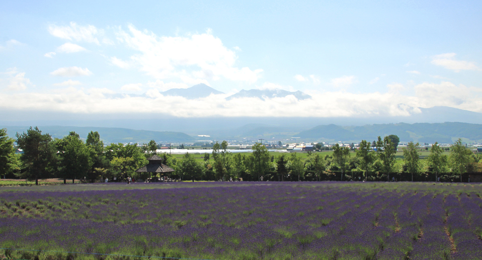 倖の畑と十勝岳連峰