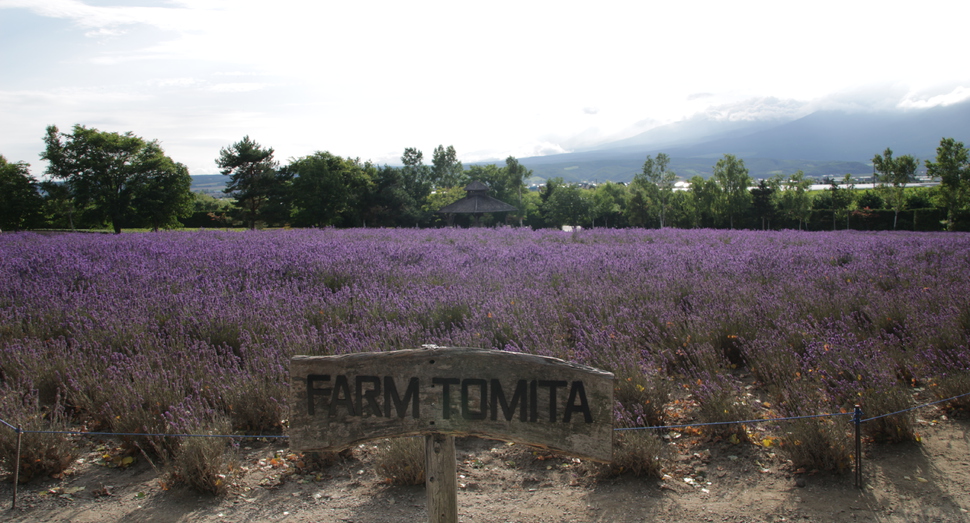 雲の中の十勝岳