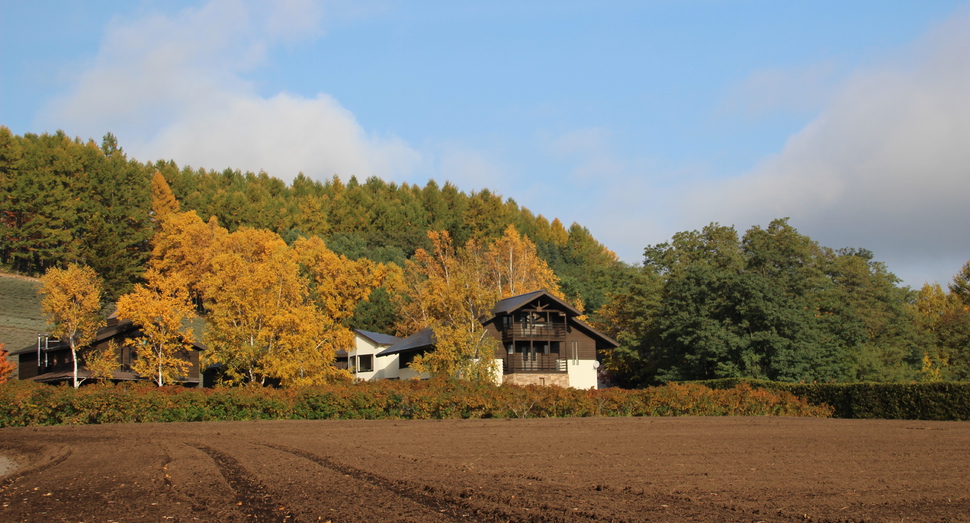 秋の彩りの畑も来年までごゆっくり