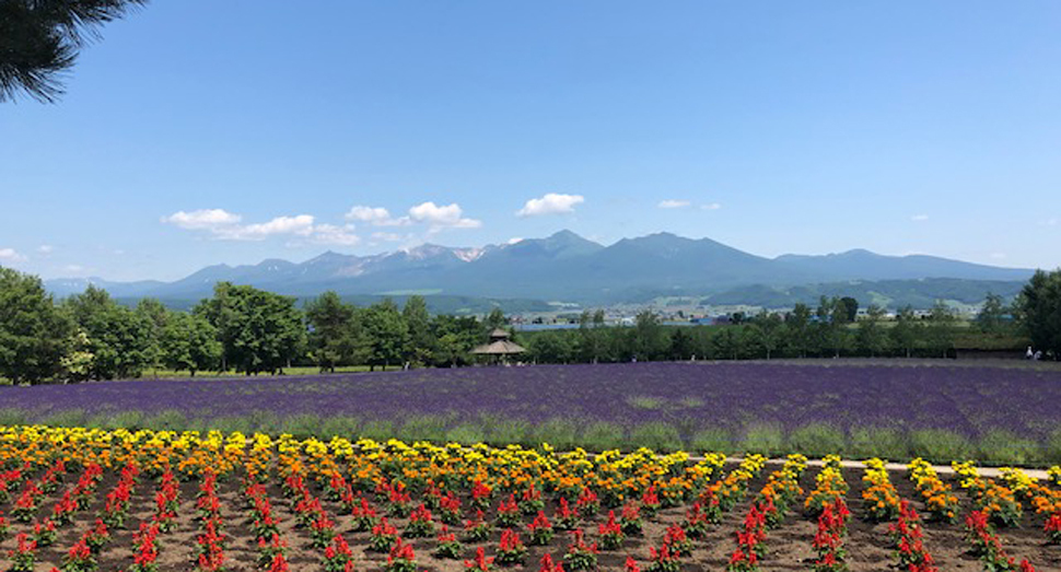 今日は十勝岳連峰がくっきり見えます