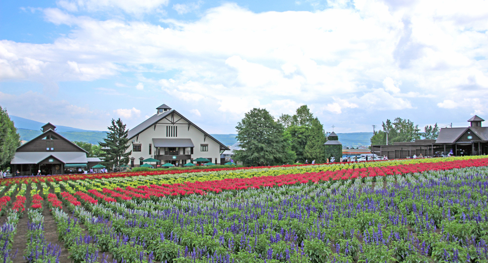 様々な表情を見せてくれる花人の畑