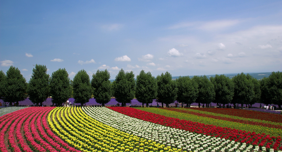 パッサージュに上ると花畑がよく見渡せます