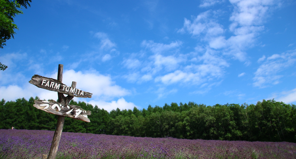 青空が澄んでいます