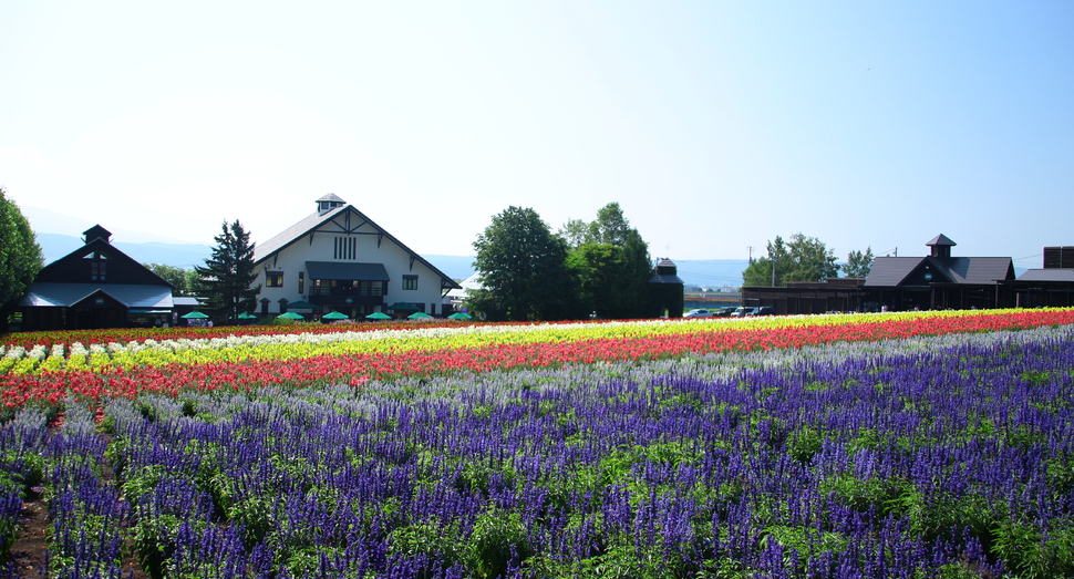 花人の畑はまだまだこれから