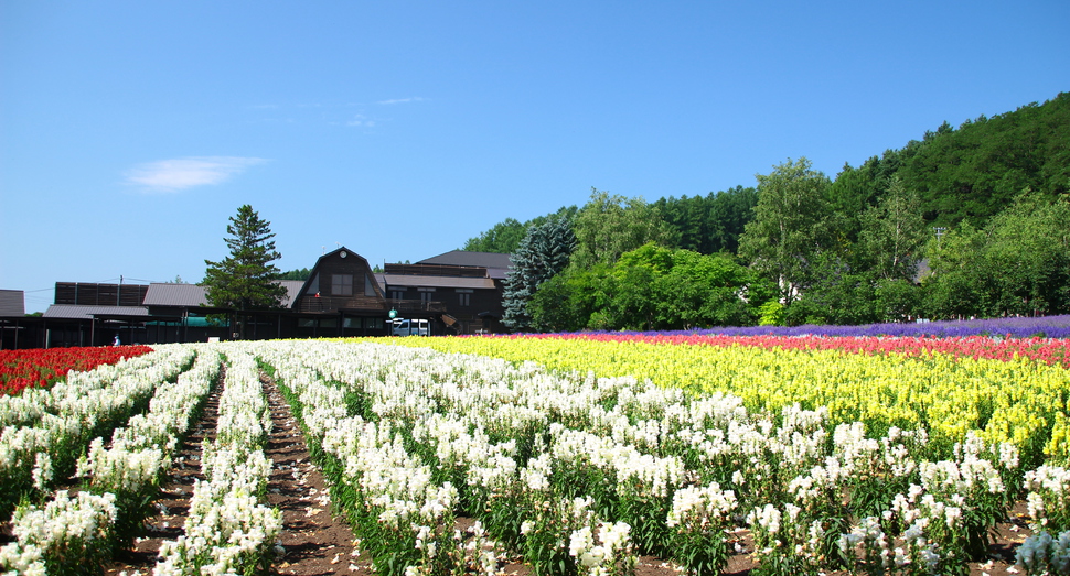 花人の畑はまだまだこれから