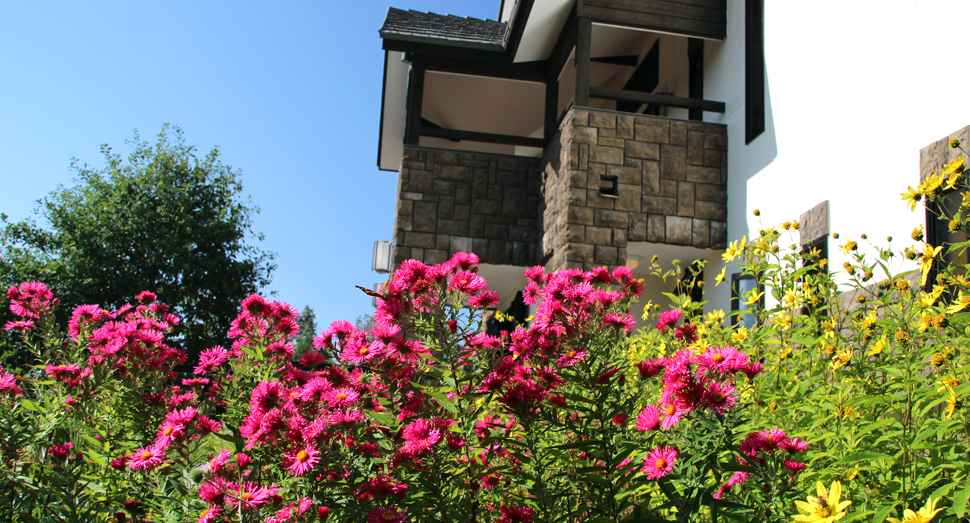 お気に入りの花を見つけてみてください！