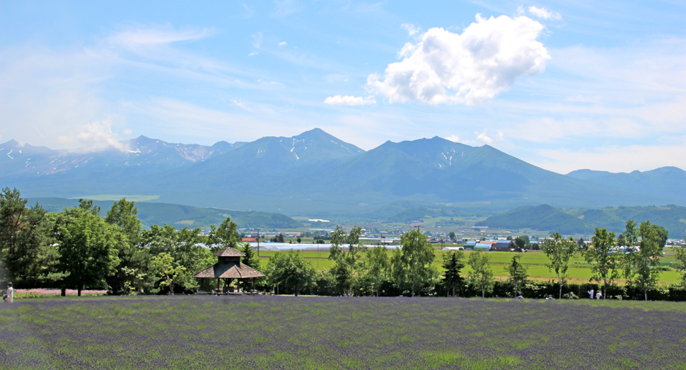 青空が広がる倖の畑