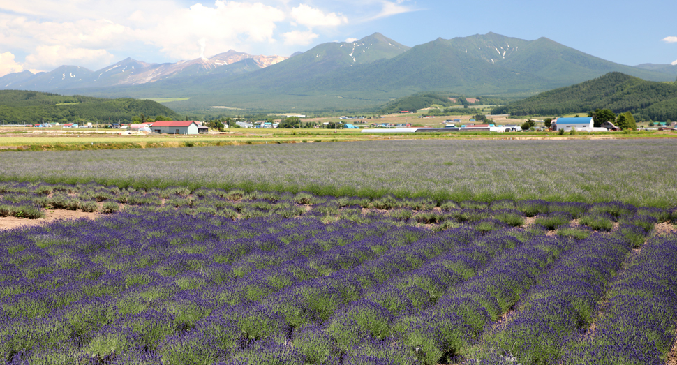 雄大な十勝岳連峰とともに