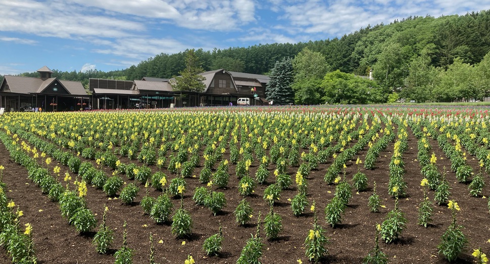 花人の畑もこれからです