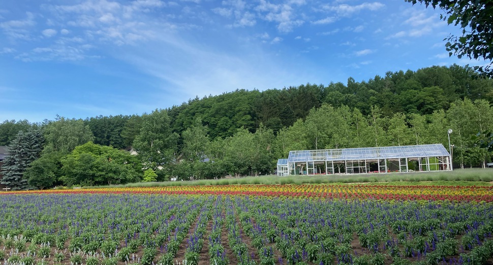 花人の畑とグリーンハウス