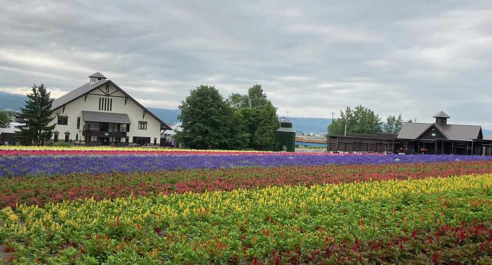 「花人の畑」と「花人の舎」