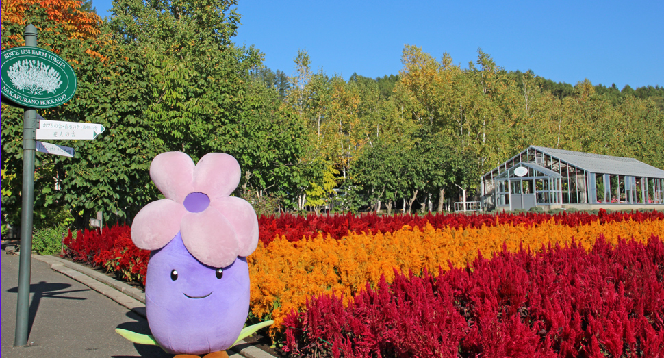 ラベさんもお気に入りの花人の畑