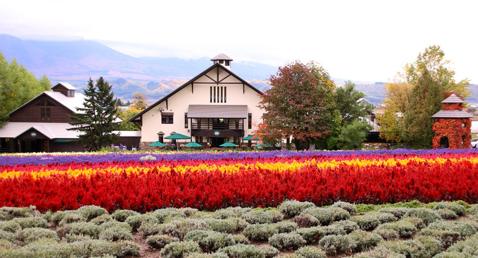 紅葉する山々を背景に一枚