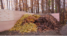 落ち葉は腐葉土として活用されます