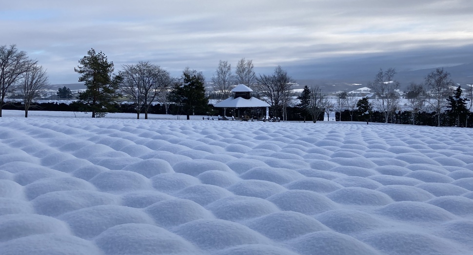 雪が降り始め時のみの景色です