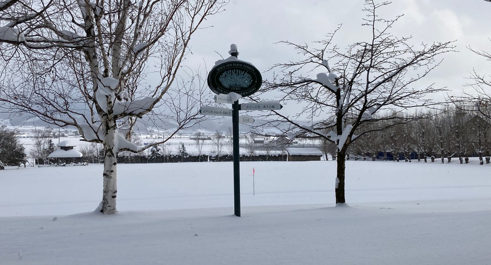 雪が積もり始めました