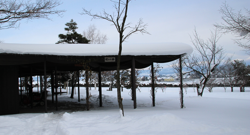 屋根の雪で、積雪量が伝わるでしょうか？1月に入って雪深くなってきました