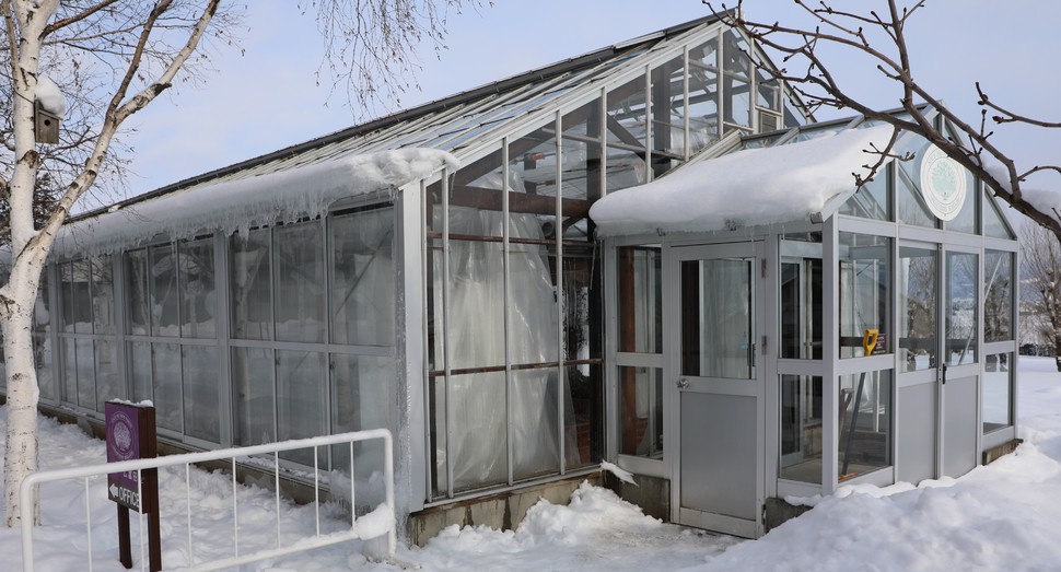 グリーンハウスは氷柱と雪に。