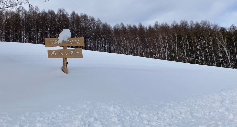 トラディショナルラベンダー畑の看板が雪帽子をかぶっています