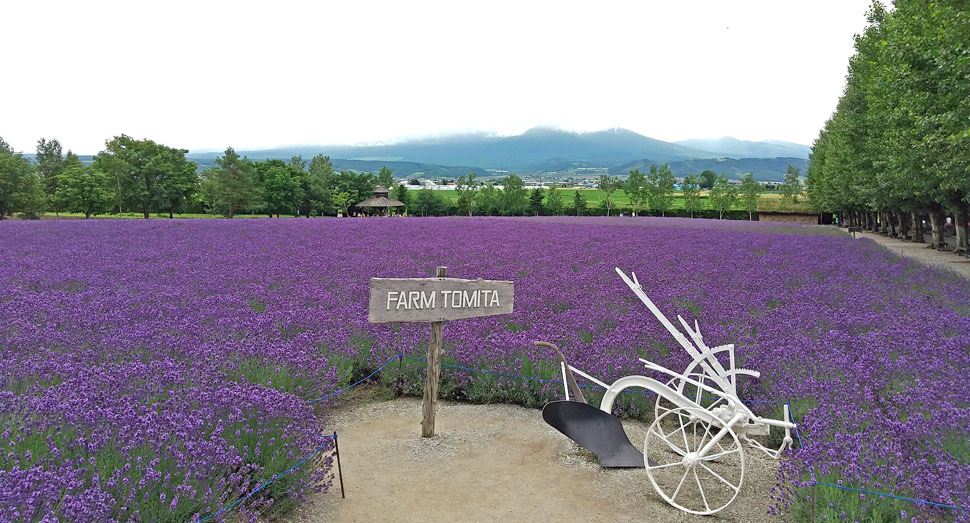 倖の畑の看板前で｢はい、ポーズ♪｣