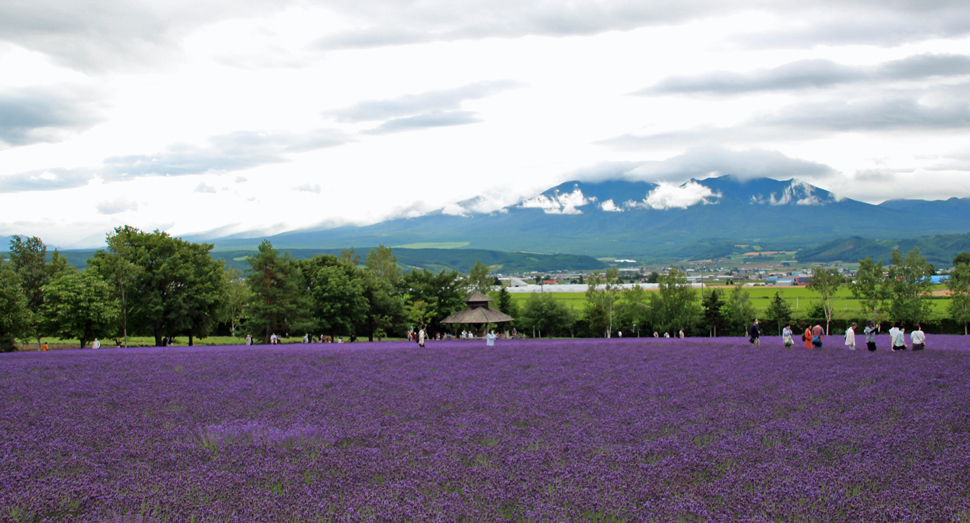 十勝岳連峰は雲に覆われています