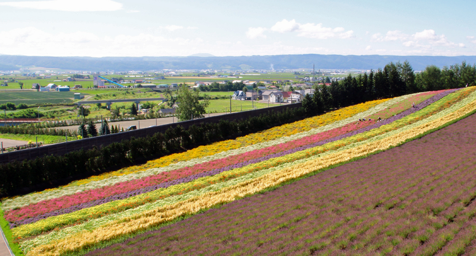 展望デッキからは遠くの山まで見渡せます