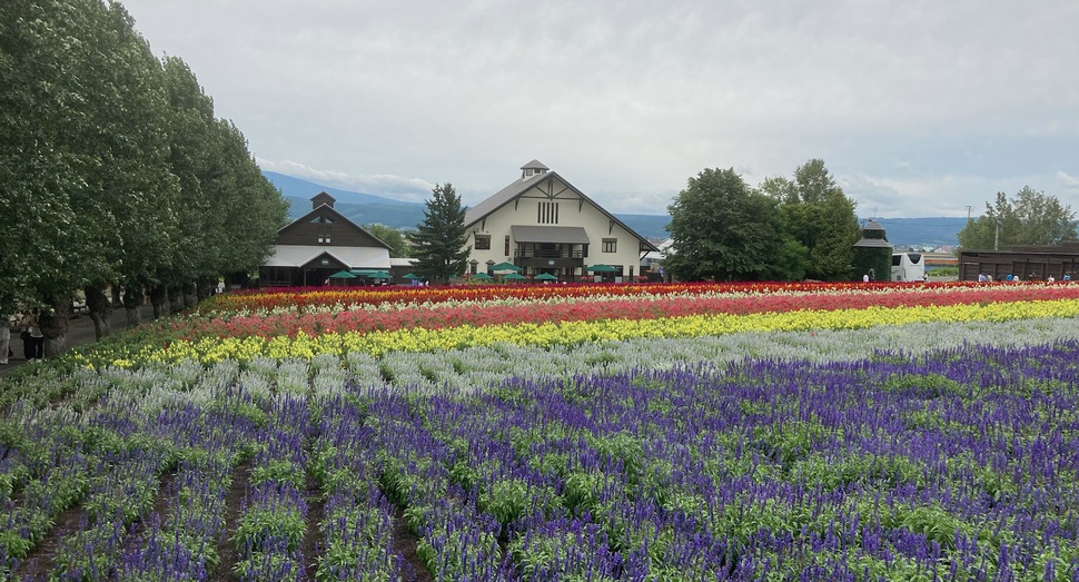 花人の畑と花人の舎