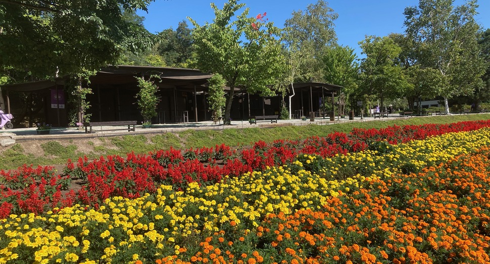 木々の紅葉が少しずつ始まりました