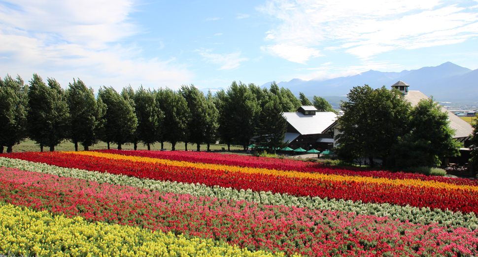 花の舎展望デッキから望む花人の畑