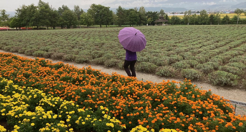 小雨の中散策中