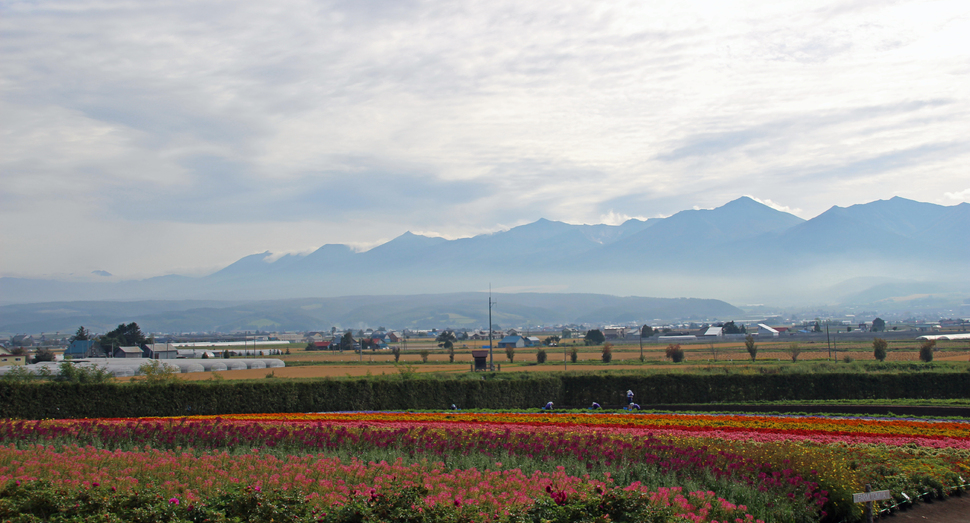 朝もやに浮かび上がる十勝岳連峰