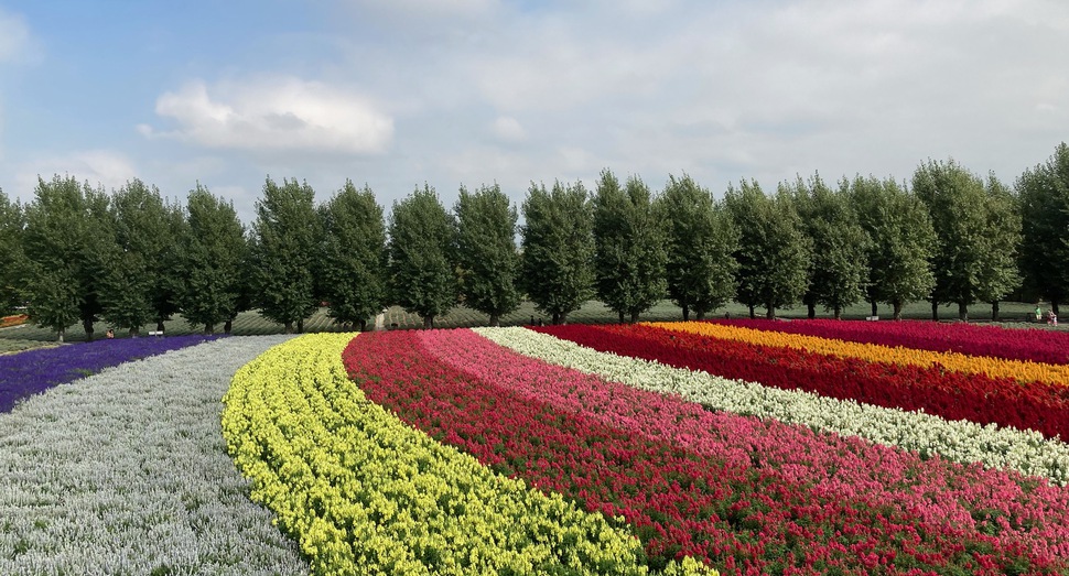 展望デッキからの「花人の畑」