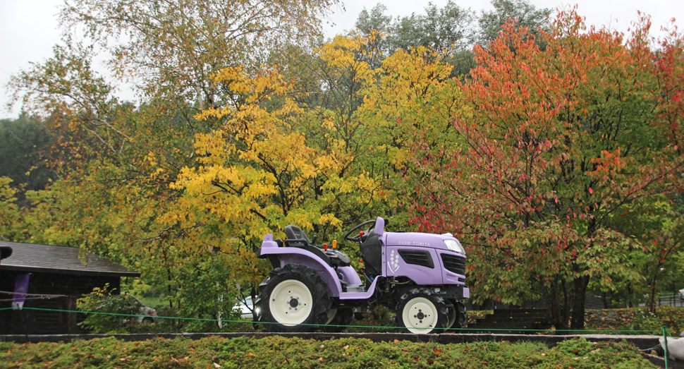 秋色の木々を背景にミニトラクターと記念撮影はいかがですか
