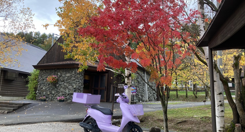 紫のスクーターと