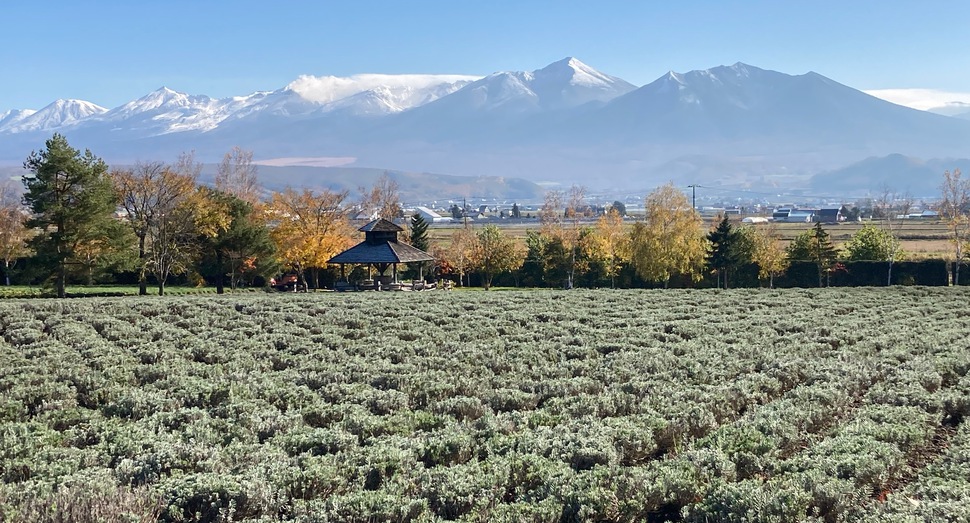 冠雪の「十勝岳連峰」
