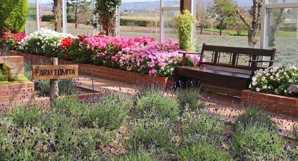 日当たりのいい温室のベンチで花に囲まれてひとやすみ